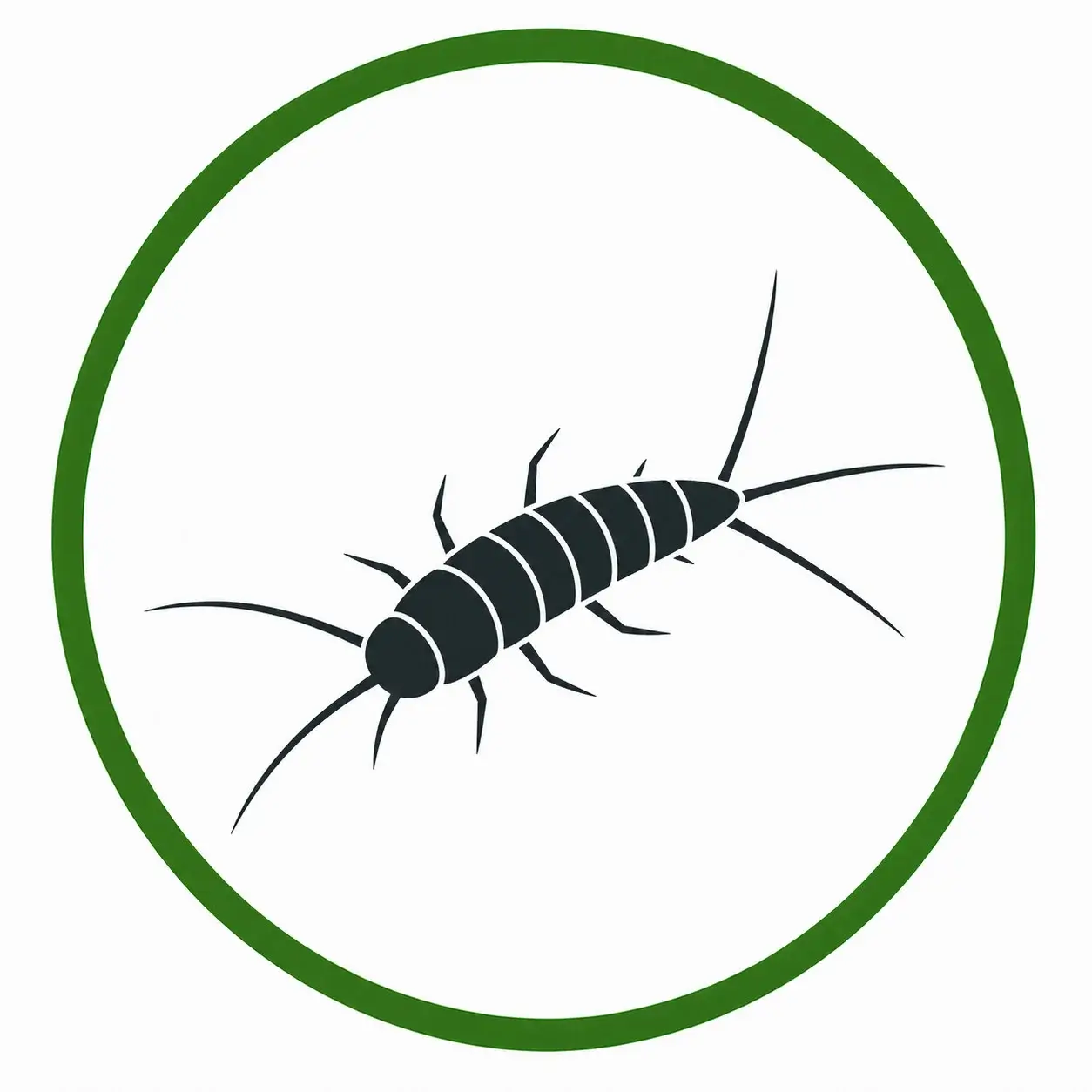 Silberfischchen bekämpfen